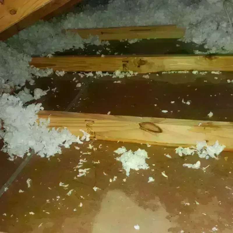 Attic Water Damage in Sistersville, WV